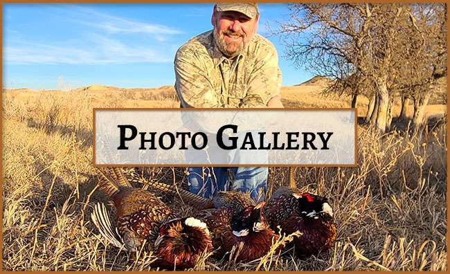 Eastern Montana Outfitters Photo Gallery