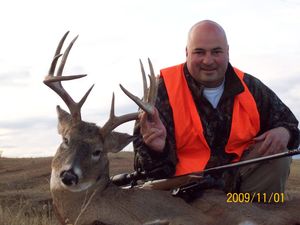 Whitetail Deer